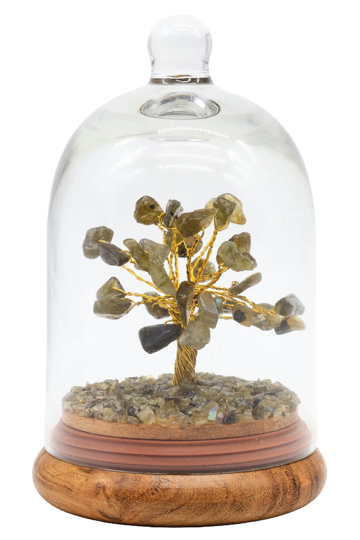 arbre de vie sous cloche labradorite