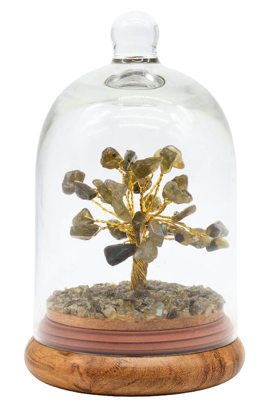 arbre de vie sous cloche  labradorite