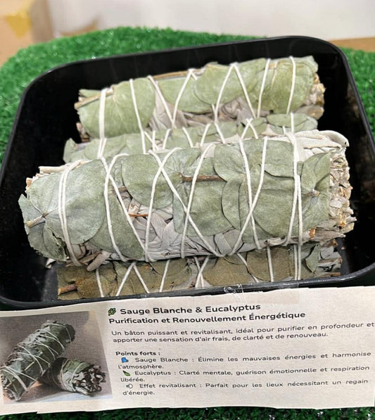 Sauge Blanche  eucalyptus